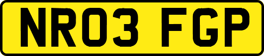 NR03FGP