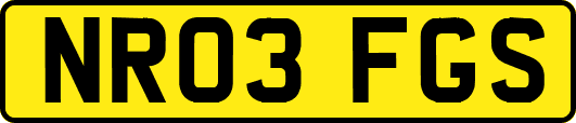NR03FGS