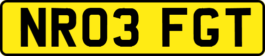 NR03FGT