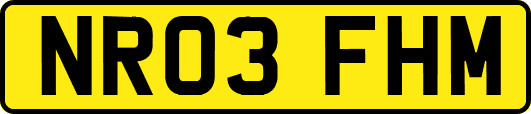 NR03FHM