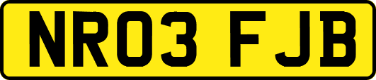 NR03FJB