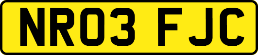 NR03FJC