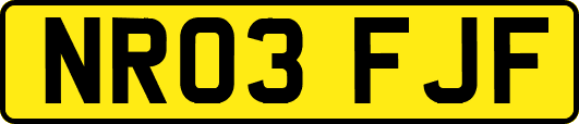 NR03FJF