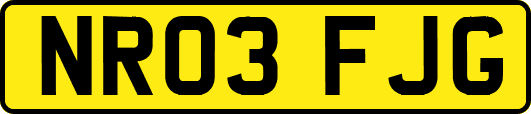 NR03FJG