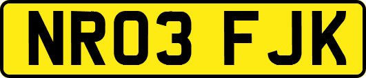 NR03FJK