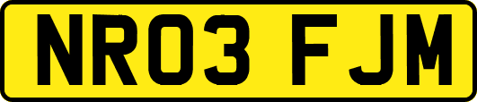NR03FJM