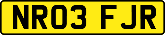 NR03FJR