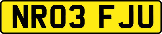 NR03FJU