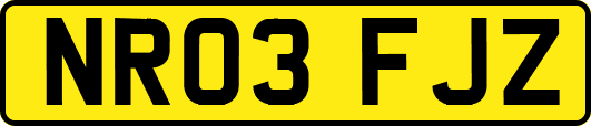 NR03FJZ