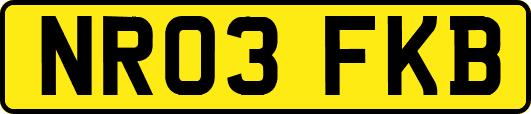 NR03FKB
