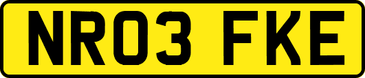 NR03FKE