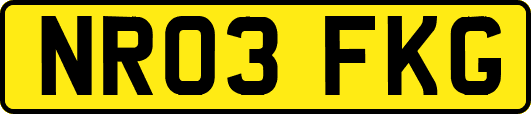 NR03FKG