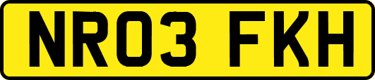 NR03FKH