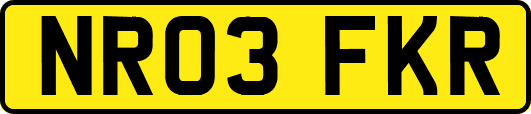 NR03FKR
