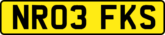 NR03FKS