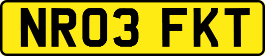 NR03FKT