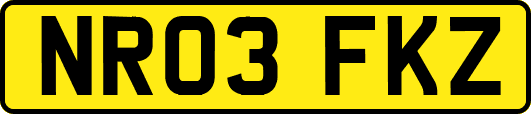 NR03FKZ
