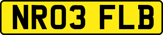 NR03FLB