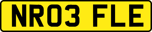 NR03FLE