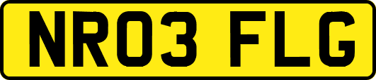 NR03FLG