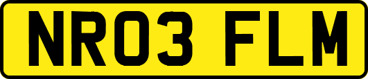 NR03FLM
