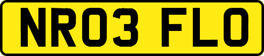NR03FLO