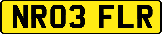 NR03FLR
