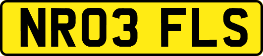 NR03FLS