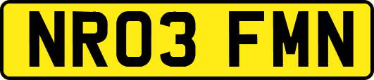 NR03FMN