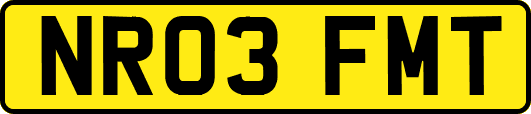 NR03FMT