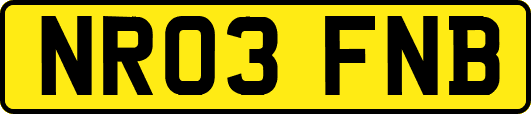 NR03FNB