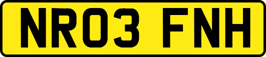 NR03FNH