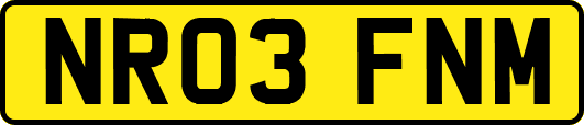 NR03FNM