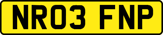 NR03FNP
