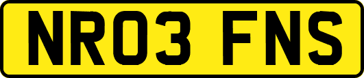 NR03FNS