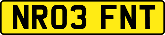 NR03FNT