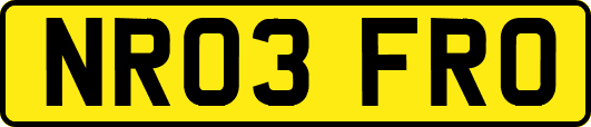 NR03FRO