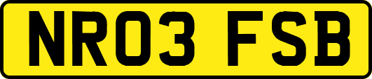 NR03FSB