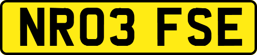 NR03FSE