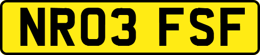 NR03FSF