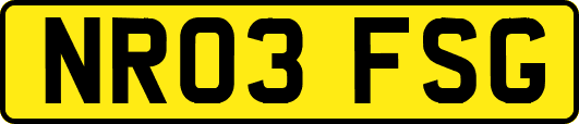NR03FSG