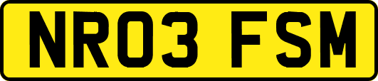 NR03FSM
