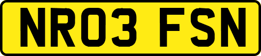 NR03FSN