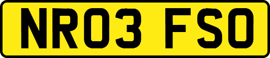 NR03FSO