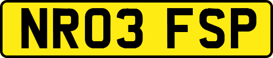 NR03FSP
