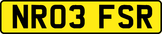 NR03FSR