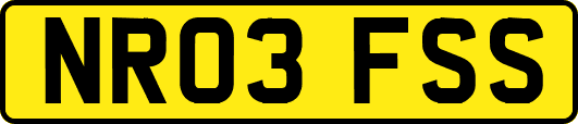 NR03FSS