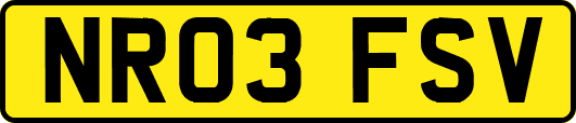 NR03FSV
