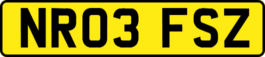 NR03FSZ