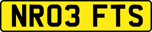 NR03FTS